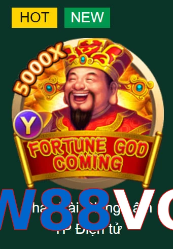W88VG